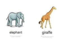 PEP四年級(jí)第四單元單詞卡