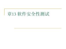 13章軟件安全性測試
