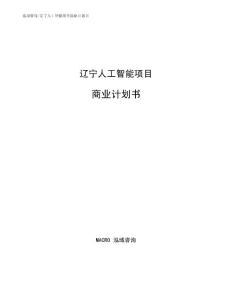 辽宁人工智能项目商业计划书