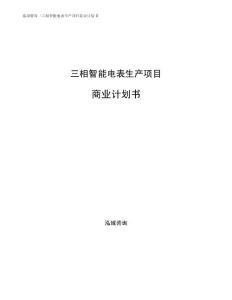 三相智能电表生产项目商业计划书