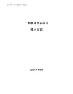 三相智能电表项目策划方案