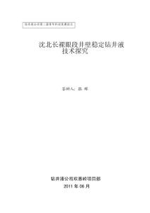 王天生 張輝 -歡喜嶺項目部-沈北長裸眼段井壁穩定鉆井液技術探究