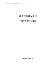 琿春項目可行性研究報告（參考范文）