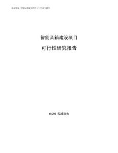 智能音箱建设项目可行性研究报告参考模板