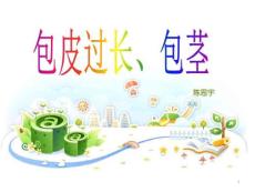 包茎、包皮过长的护理课件