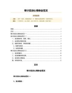 審計(jì)實(shí)訓(xùn)心得體會(huì)范文(實(shí)用應(yīng)用文)