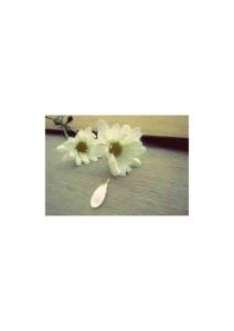 http_imgloadCATGQLAM