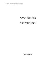 哈尔滨POCT项目可行性研究报告范文模板