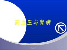 《高血压与肾病》ppt课件