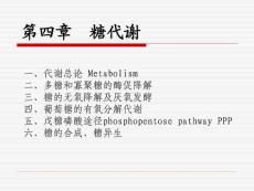 第四章 糖代謝