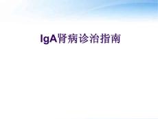 IgA肾病诊治指南
