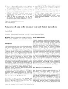 Senescence of renal cells molecular basis and clinical implications