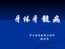 第四章  牙体牙髓病 - 副本