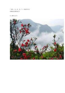 廣西東、南、西、北、中，處處好風(fēng)光！