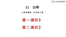 部編人教版小學(xué)四年級下冊語文 11 白樺（共2課時(shí)）課件P54
