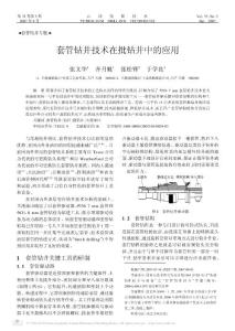 套管钻井技术在批钻井中的应用