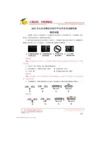 2011年中考試題解析物理（山東濰坊卷）