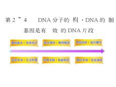 2012高三生物一轮同步辅导课件人教版：必修二第三章第二～四节DNA分子的结构·DNA