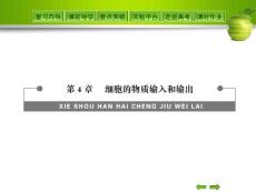 物质的输入输出复习课件