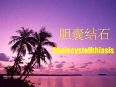 胆囊结石ppt课件
