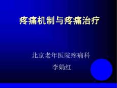 疼痛机制与疼痛治疗