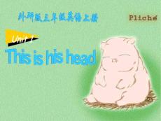 《this-is-his-head》ppt課件