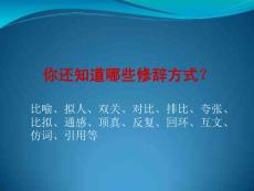 高考语文专题复习课件：修辞无处不在