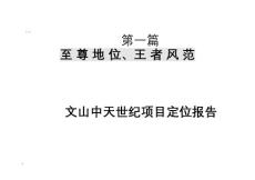 文山中天世紀項目定位報告(1).doc