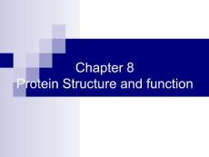 11chapter 8 Protein Structure and function