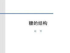 2011-lj糖的結(jié)構(gòu)