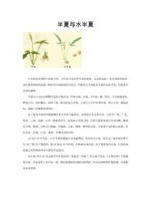 半夏與水半夏區(qū)分