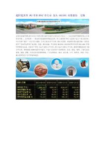超纤超真革 PU革和PVC革行业 龙头 002395 双象股份  无锡
