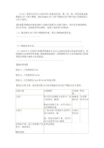 鈉在二氧化碳中燃燒