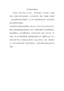 马齿菜能治糖尿病