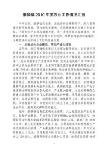 2010年度农业工作情况汇报