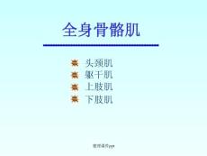 《全身骨骼肌》ppt课件