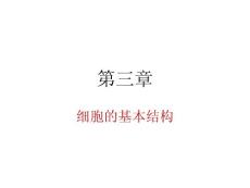 人教版生物第三章第一節(jié)細(xì)胞膜