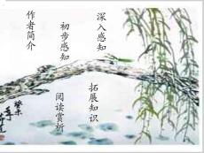 《雨霖铃》教学课件