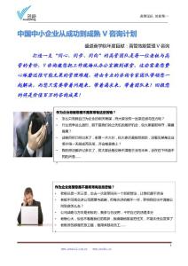 中國中小型企業從成功到成熟V咨詢計劃-高管效能管理.