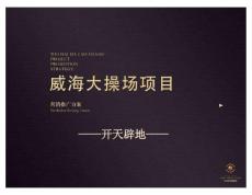 威海寶泉廣場營銷推廣方案2011-140P