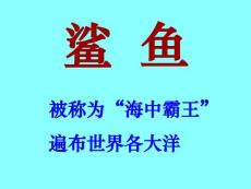 老人与海(人教版 高二必修三)