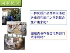 人教版生物第三章第二節(jié)細(xì)胞器