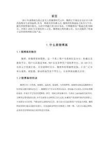 浅析微博的发展 毕业论文
