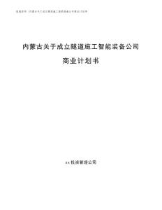 內蒙古關于成立隧道施工智能裝備公司商業計劃書（模板范文）