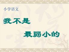 我不是最弱小的 PPT课件