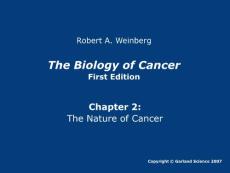 癌生物学第二章ppt----英文原版图片