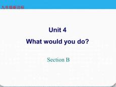 河南省实验中学2012九年级英语 unit 4What would you do if Section B精品课件 人教新目标版