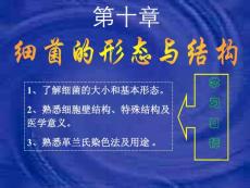 细菌的形态与结构