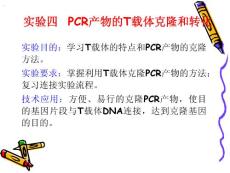 PCR产物的T载体克隆和转化