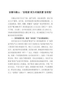 安徽馬鞍山：“金稻漁”成為村強民富“金鑰匙”